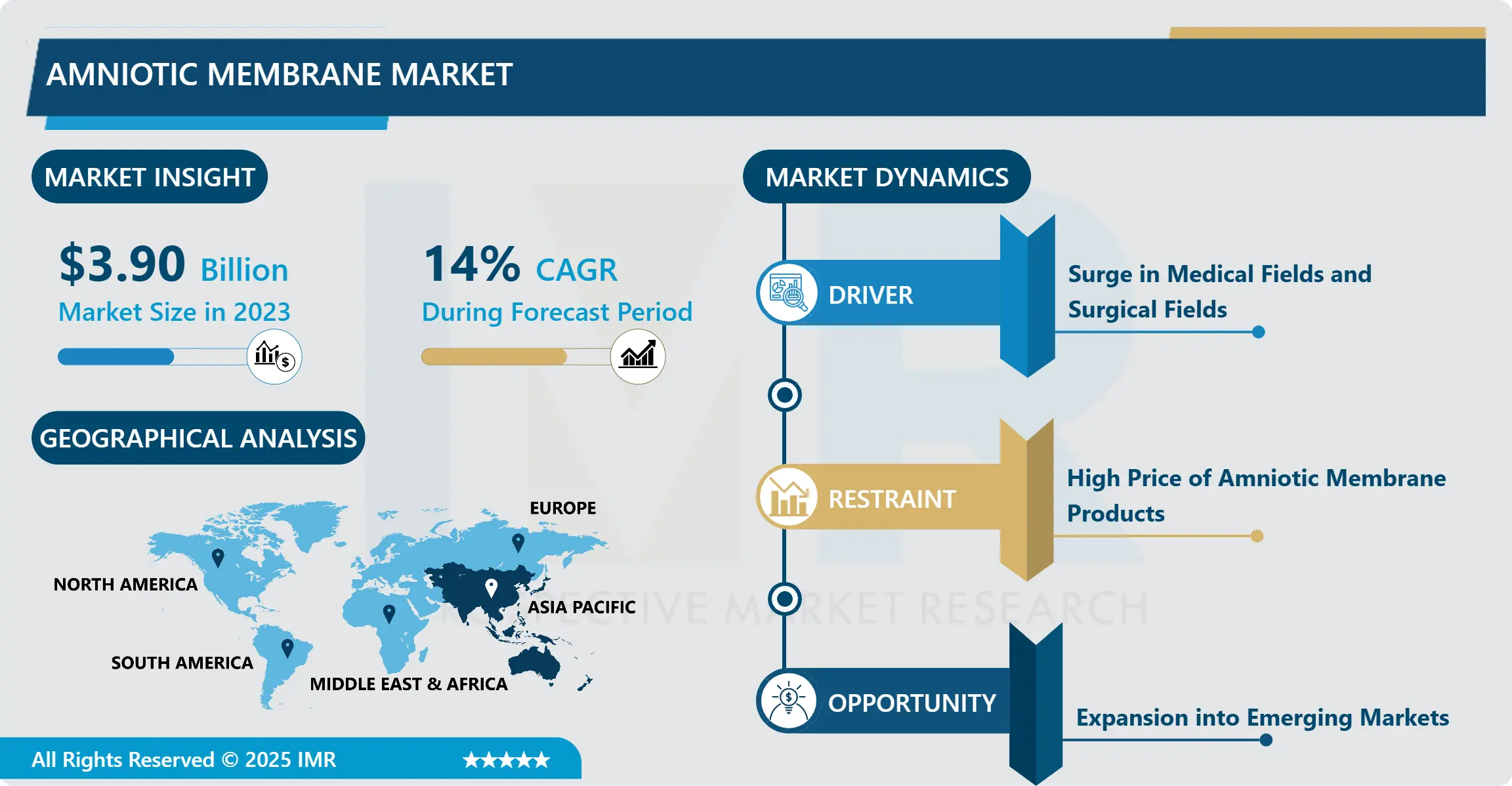 Amniotic Membrane Market - Global Size, Share & Trends