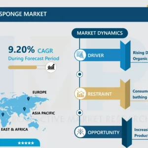 Bath Brush or Mesh Sponge Market - Current Analysis by Market Share