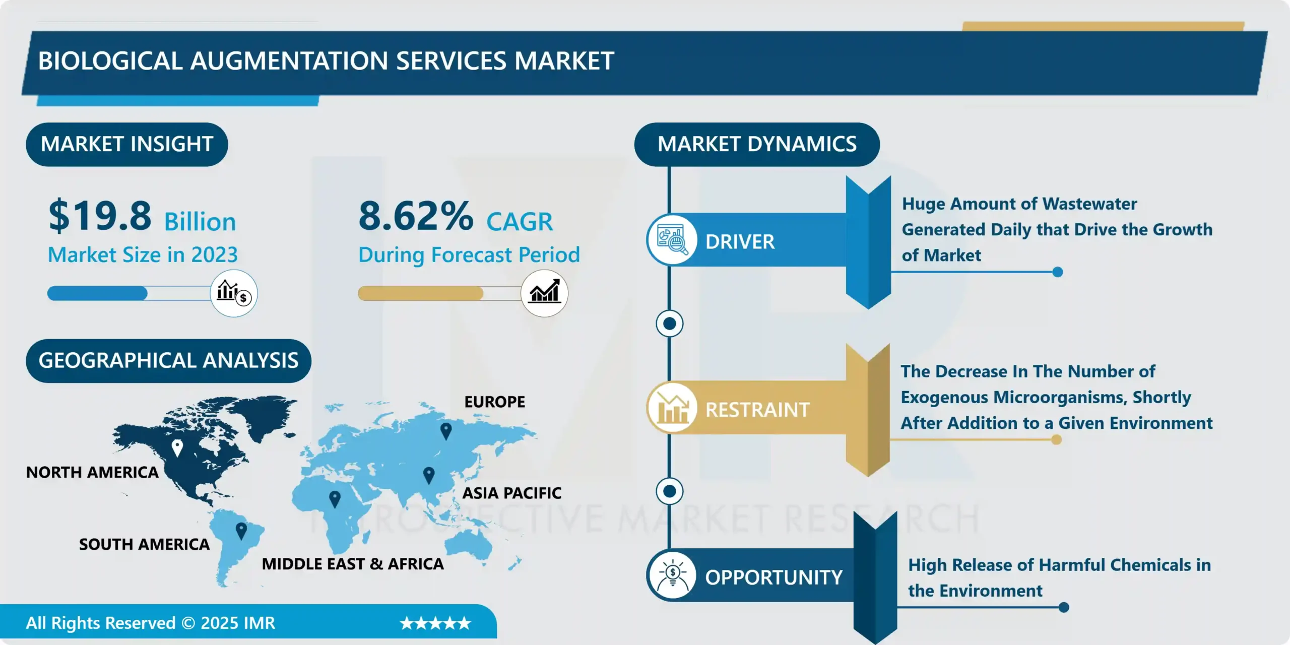 Biological Augmentation Services Market - Analysis By Size