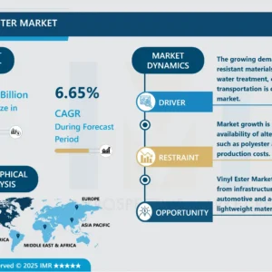 ビニルエステル市場 - 包括的研究レポートと動向