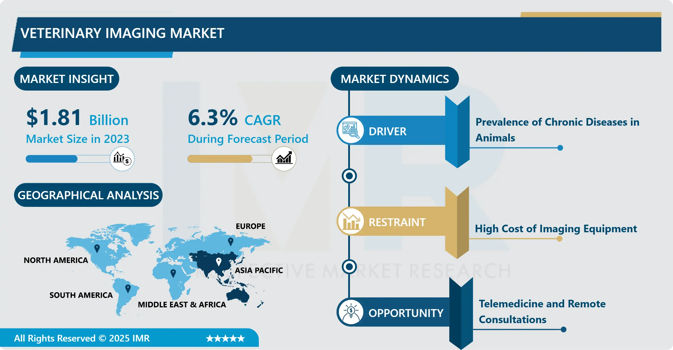 Veterinary Imaging Market - Report Size, By Type & Application