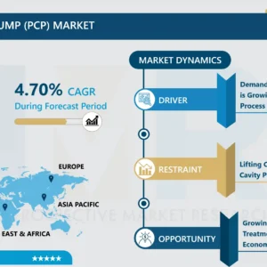 プログレッシブケーブポンプ市場：詳細な規模分析
