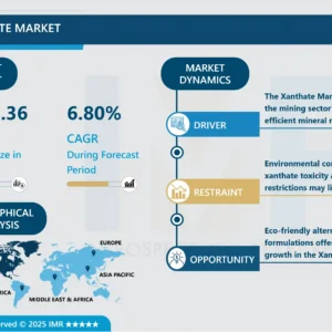 Xanthate Market - Comprehensive Study Report & Recent Trends