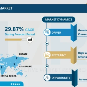 Consumer Robotics Market Size and Growth Report 2024-2032