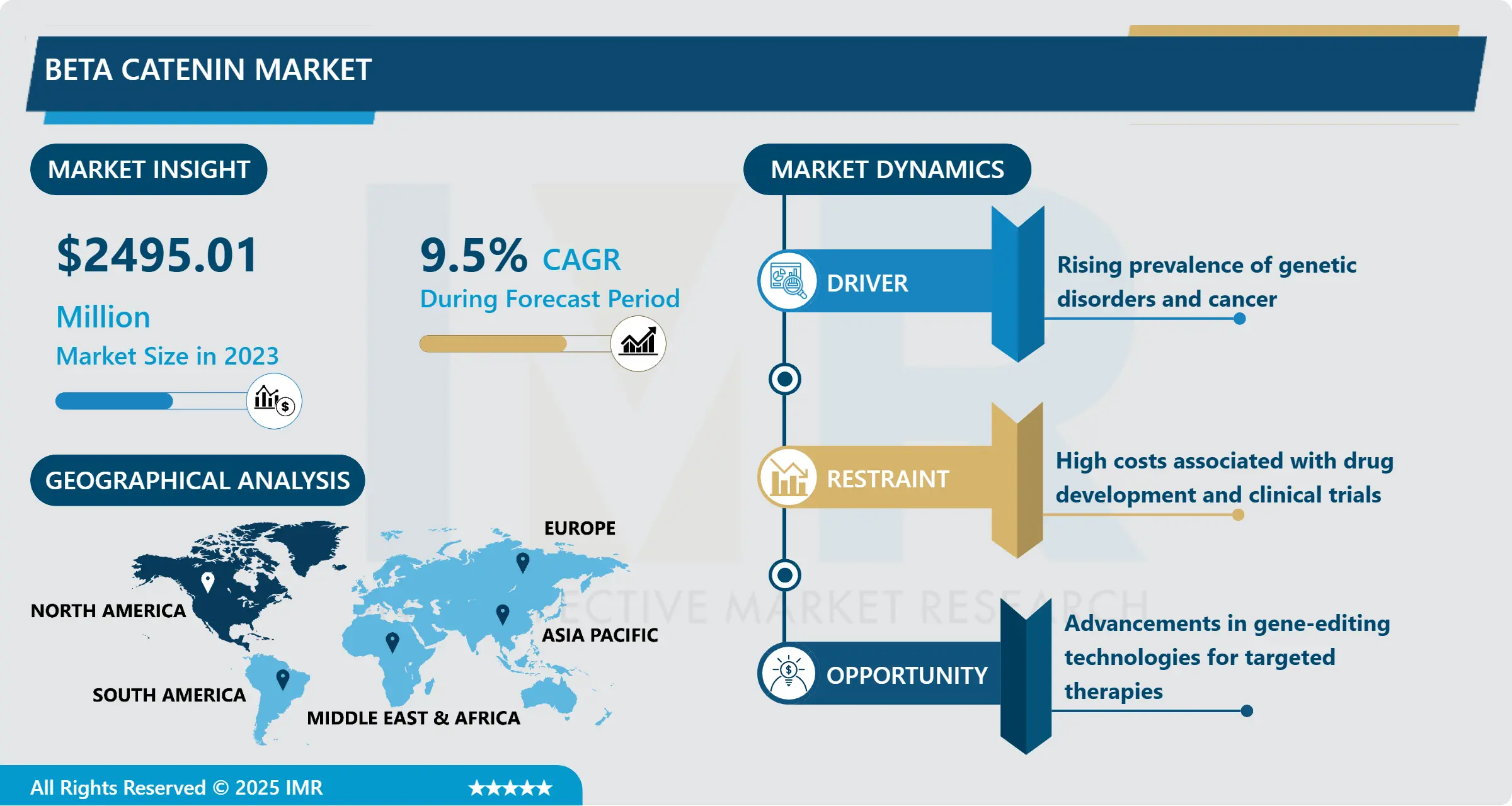 Beta Catenin Market - Global Size, Share & Industry Trends