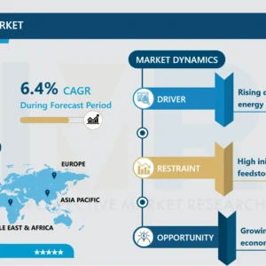 バイオマス発電市場 - グローバル分析と予測（2024-2032年）