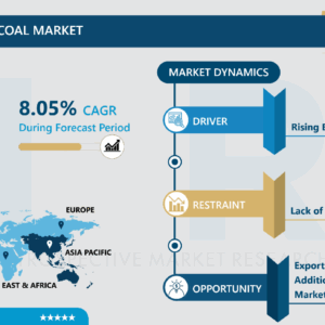 ココナッツ殻炭市場 - 最新の進歩と将来の動向（2025-2032）