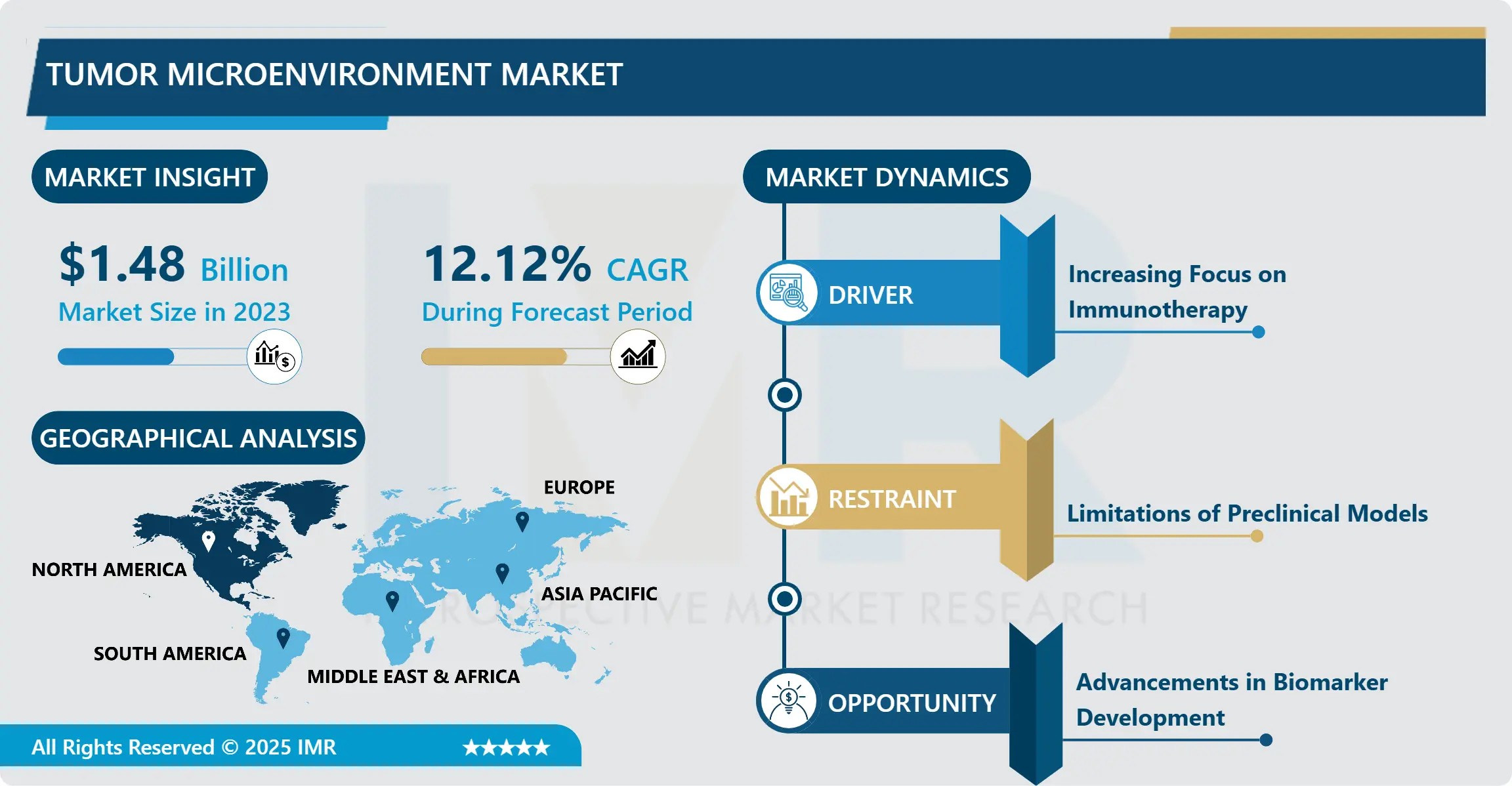 Tumor Microenvironment Market - Global Analysis and Forecast (2024-2032)