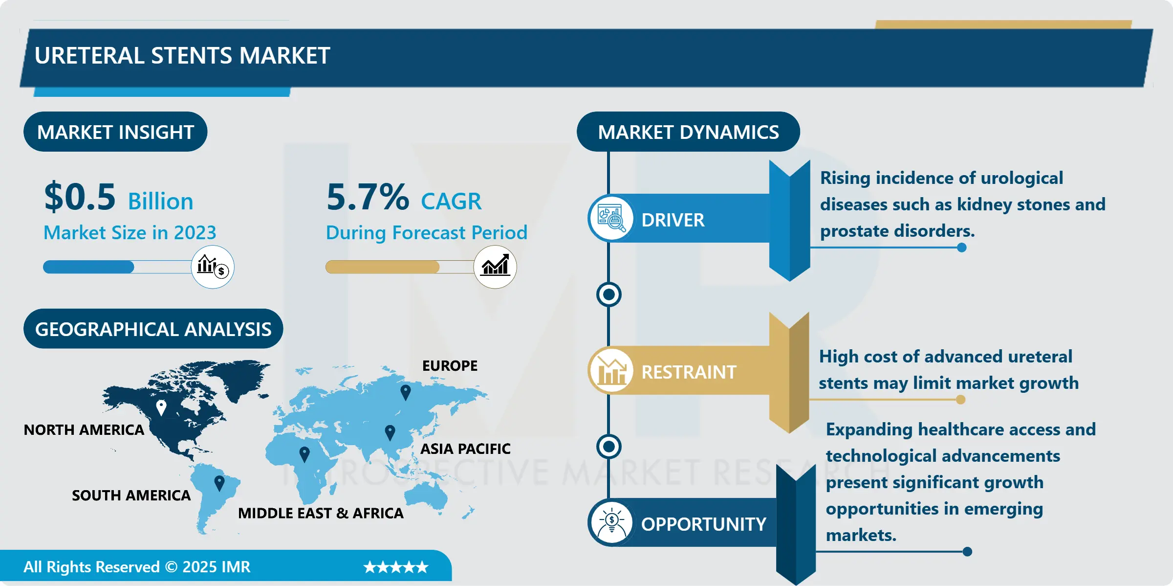 Ureteral Stents Market - Comprehensive Study Report & Recent Trends