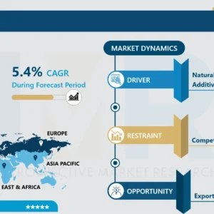 スイスチーズ市場 - 最新の進歩と業界分析（2025-2032）