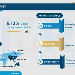 エレキギター市場 - 世界の規模、シェア、業界動向 2025-2032