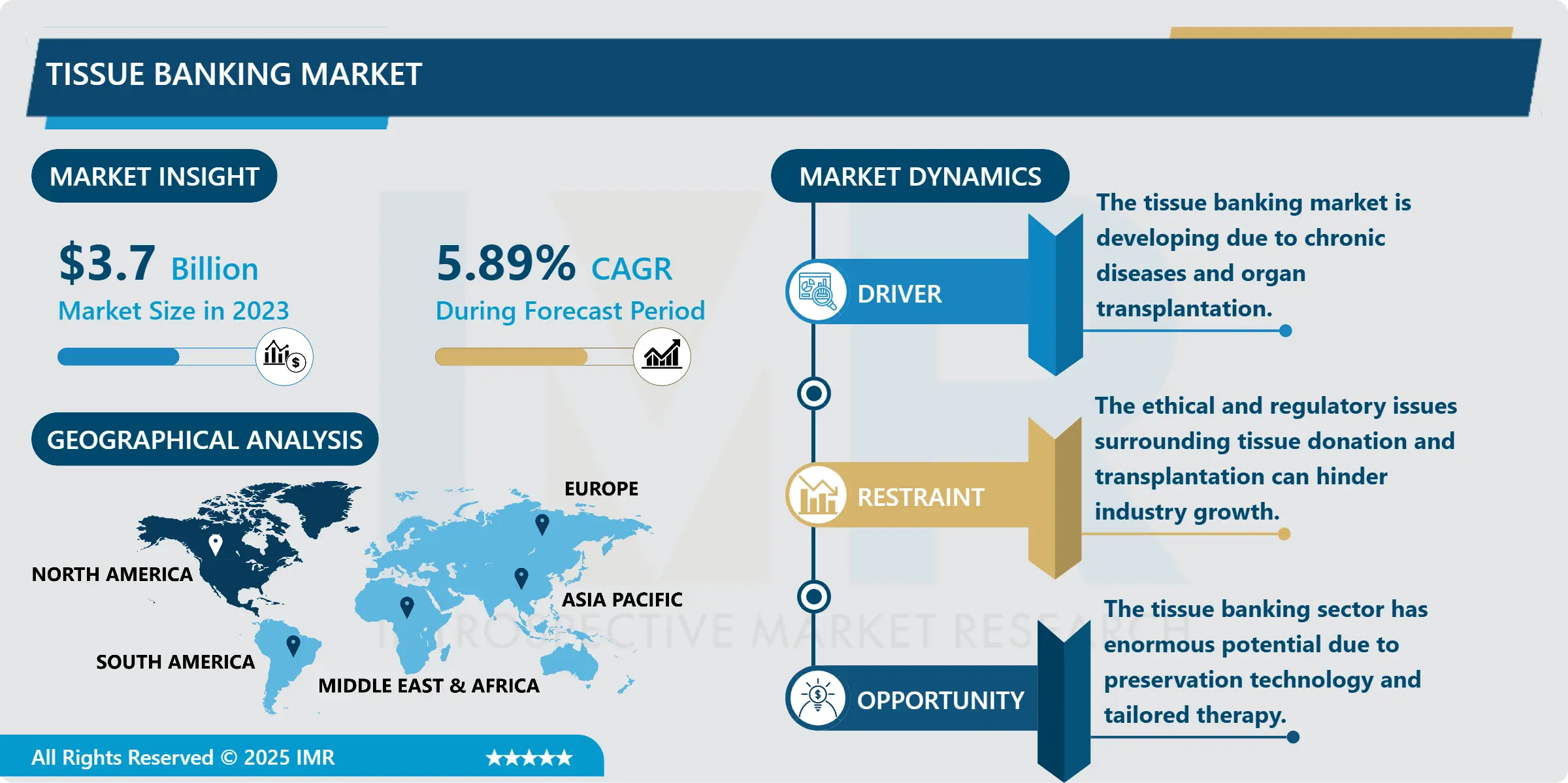 Tissue Banking Market - Size & Emerging Trends (2024–2032)