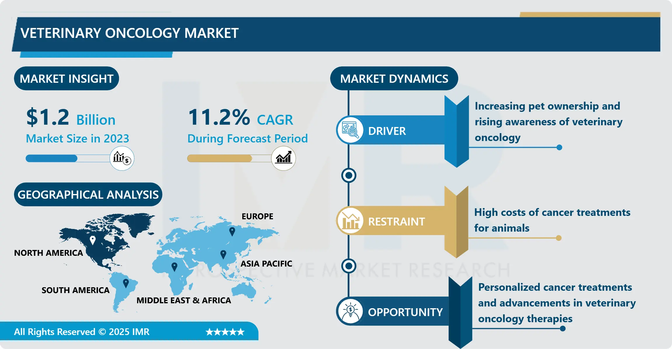 Veterinary Oncology Market Analysis and Forecast (2024-2032)