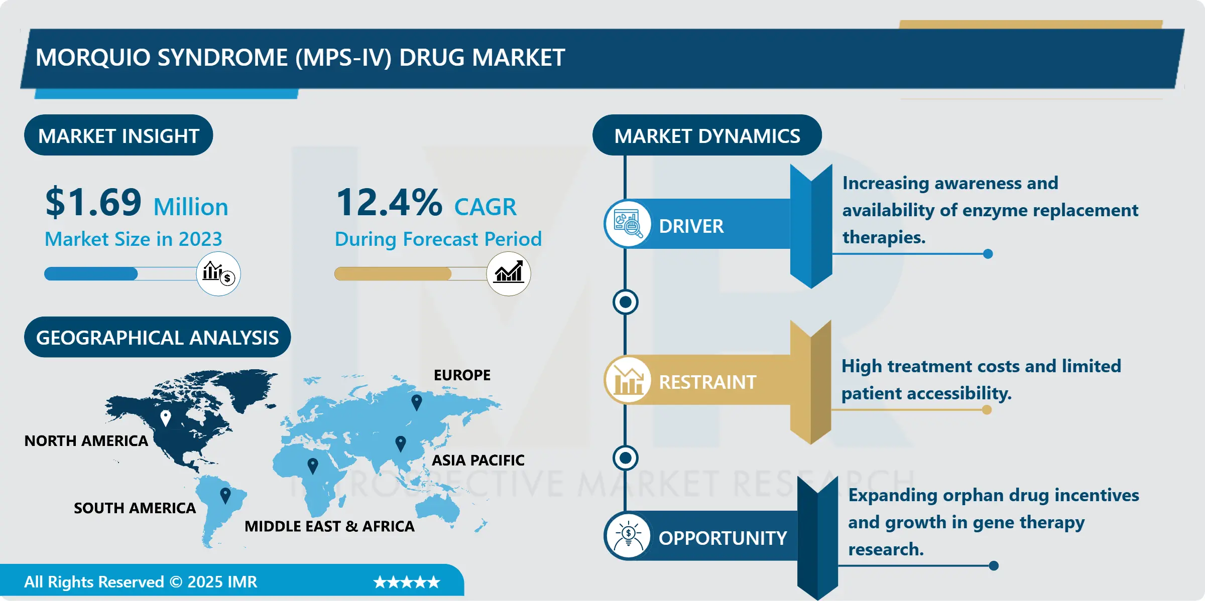 Morquio Syndrome (MPS-IV) Drug Market Size, Share, Growth & Forecast (2024-2032)
