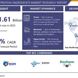 動物飼料用タンパク質原料市場 - シェア別グローバル産業分析（2024-2032年）