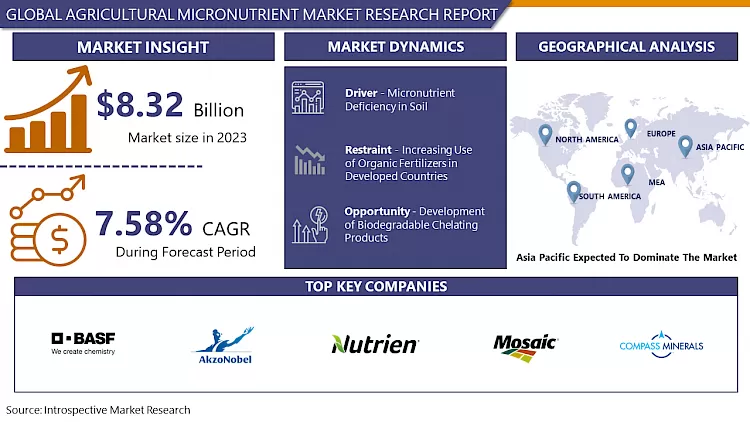 農業用微量栄養素市場の詳細な洞察と2032年までのトレンド分析