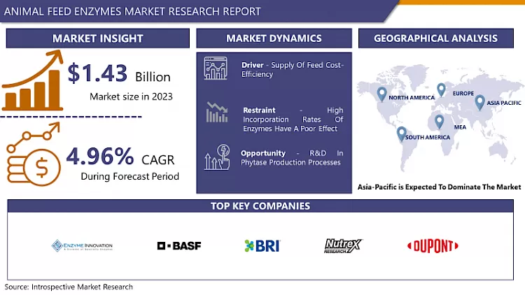 動物飼料用酵素市場 - グローバル規模、シェア、業界動向（2024-2032年）