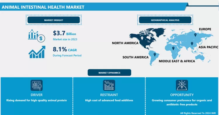 Animal Intestinal Health Market-Size, Share, Trend & Global Industry Analysis By 2024-2032