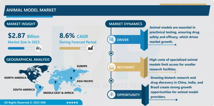 Animal Model Market | Current Analysis by Market Share 2024-2032