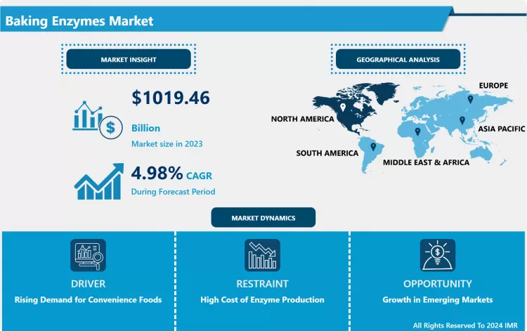 Baking Enzymes Market Comprehensive Study Report & Trends