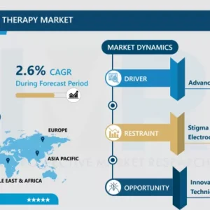電気けいれん療法市場 - 包括的研究レポートと最新動向 2024-2032