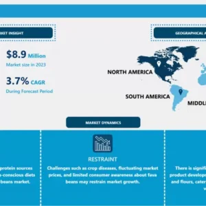 Fava Beans Market - Current Analysis by Market Share 2024-2032