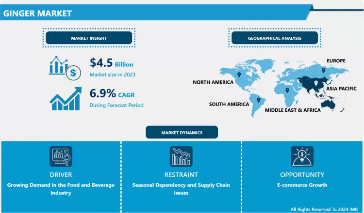 ジンジャー市場 - 包括的研究レポートと最近の動向