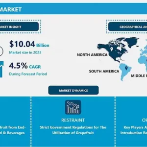 グレープフルーツオイル市場 - 詳細分析と市場シェア