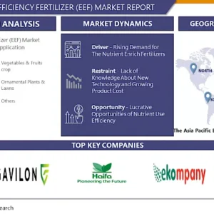 高効率肥料（EEF）市場 - 世界の産業成長とトレンド分析
