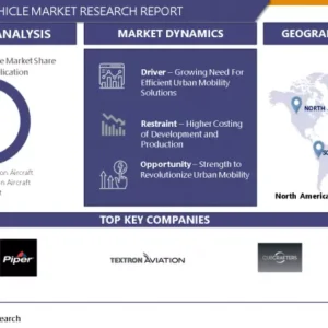 4～6人乗り飛行車両市場－市場シェア別最新分析
