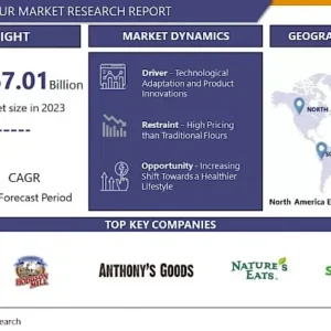 アーモンド粉市場 - 包括的な調査レポートと最近の動向