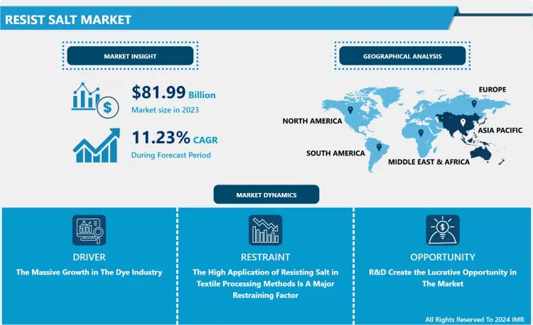 耐塩性材料市場 - 市場シェアに焦点を当てた詳細分析